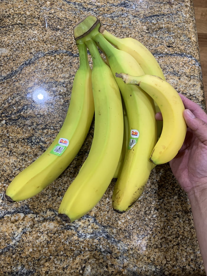 Some Giant Bananas Banana For Scale 9gag