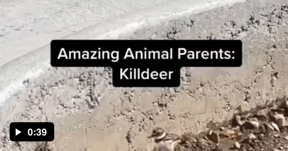 How To Draw Over A Picture On Google Docs