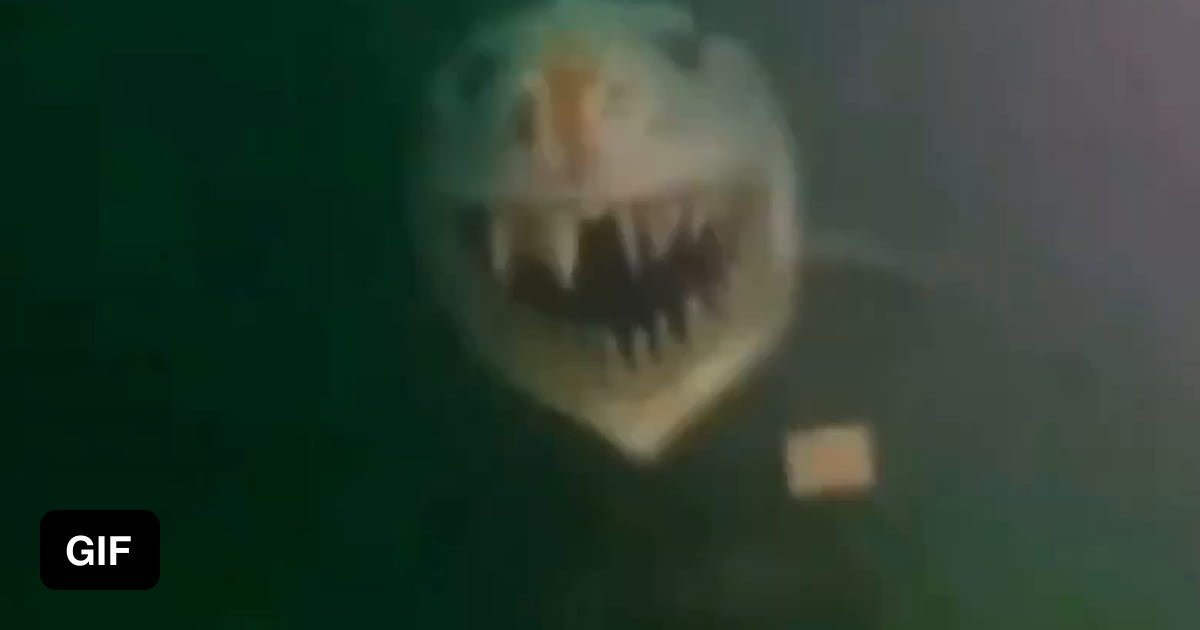 A Terrifying Shark Statue Underwater At The Bottom Of Lake Neuch Tel In