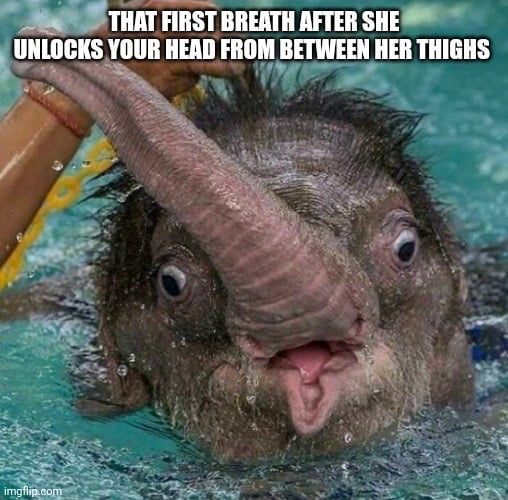 I hit the i believe button - 9GAG