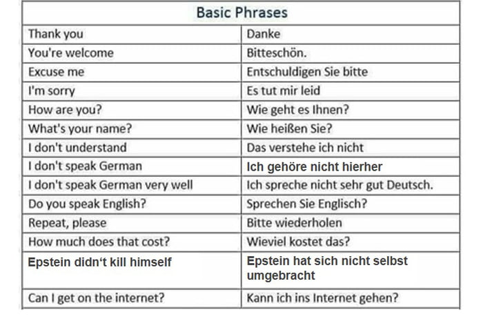 German phrases. German Basic. Basics of German. Basic conversational phrases.