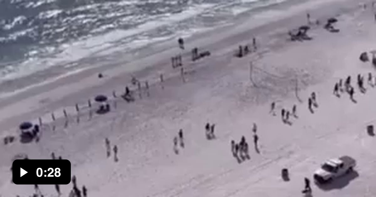 The drug dog arrives on Panama City Beach 9GAG