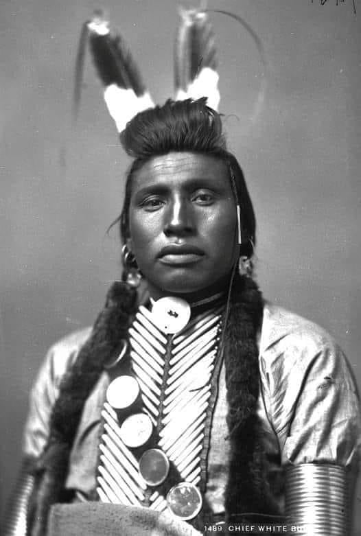 White Bull (Lakota: Tȟatȟáŋka Ská) (April 1849 – June 21, 1947) was the ...