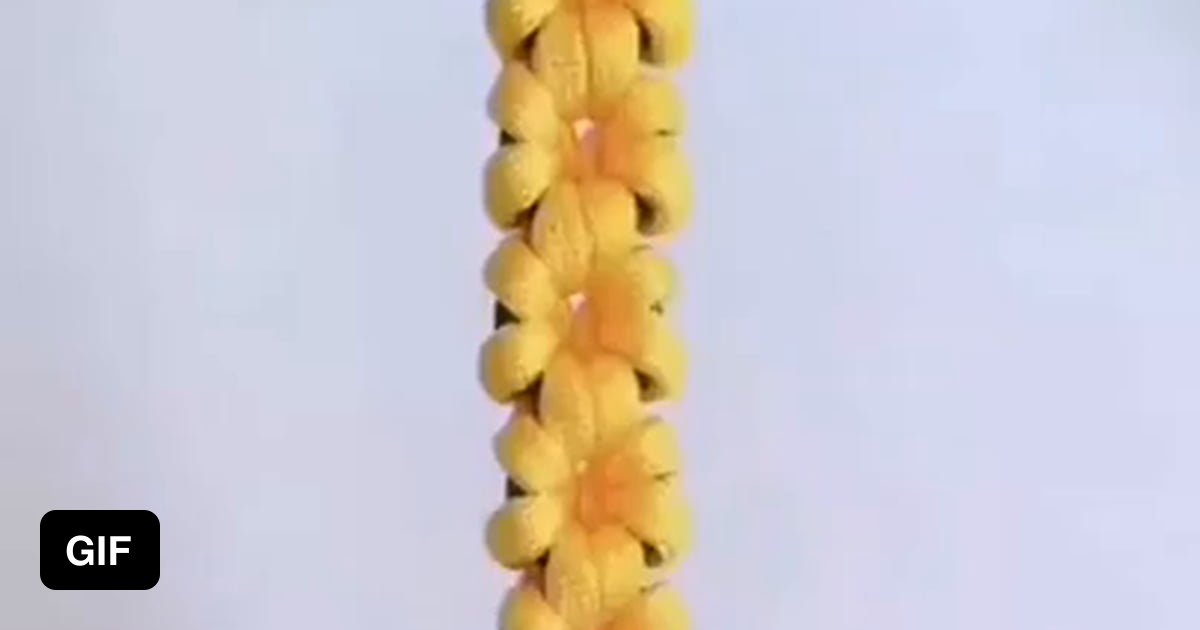 Tying a flower knot - 9GAG