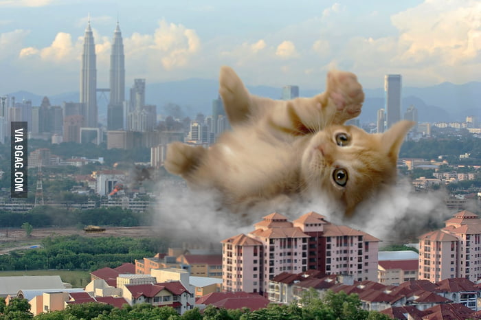 giant cat city