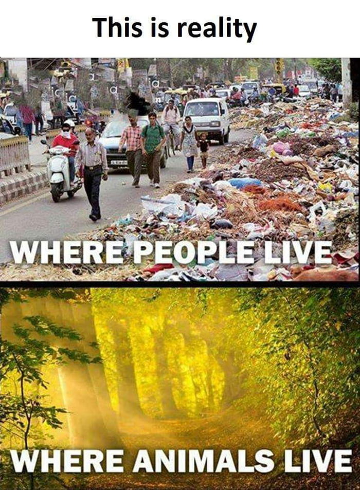 And people say animals are dirty 9GAG