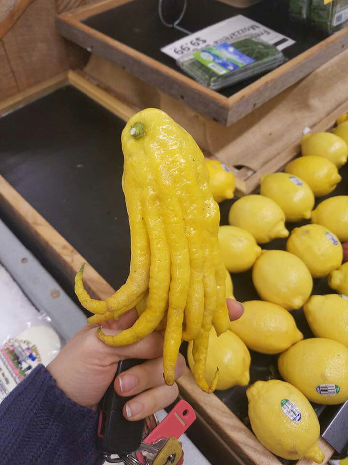 Lemon Ghug When life gives you lemons, you Ph'nglui mglw'nafh Cthulhu R'lyeh wgah ...