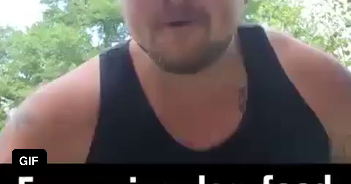 Cheap dog food VS Expensive dog food 9GAG