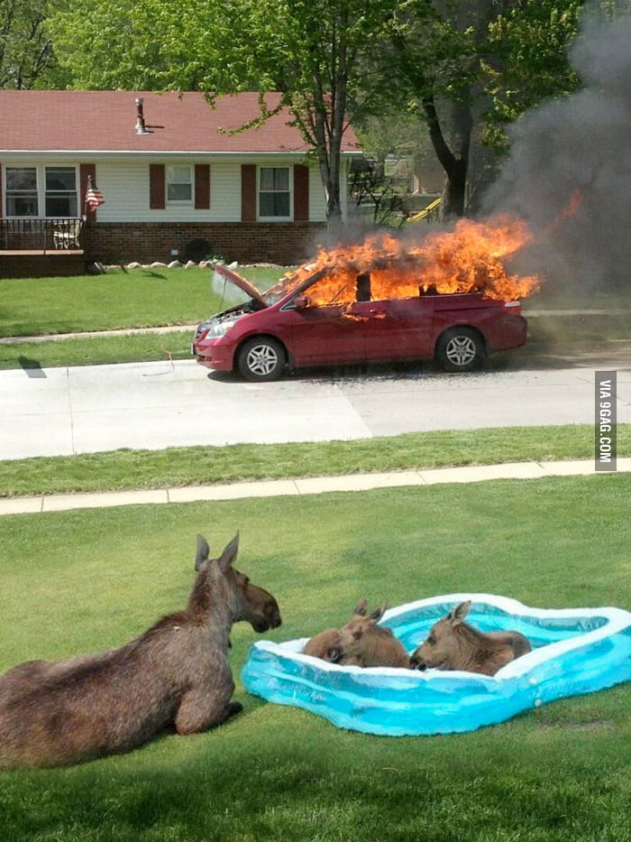 Not worry! It's just a burning car. - 9GAG