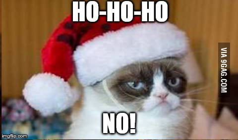 Grumpy cat's thoughts on the holiday season - 9GAG