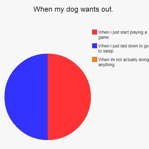Pretty sure my dog hates me. 9GAG