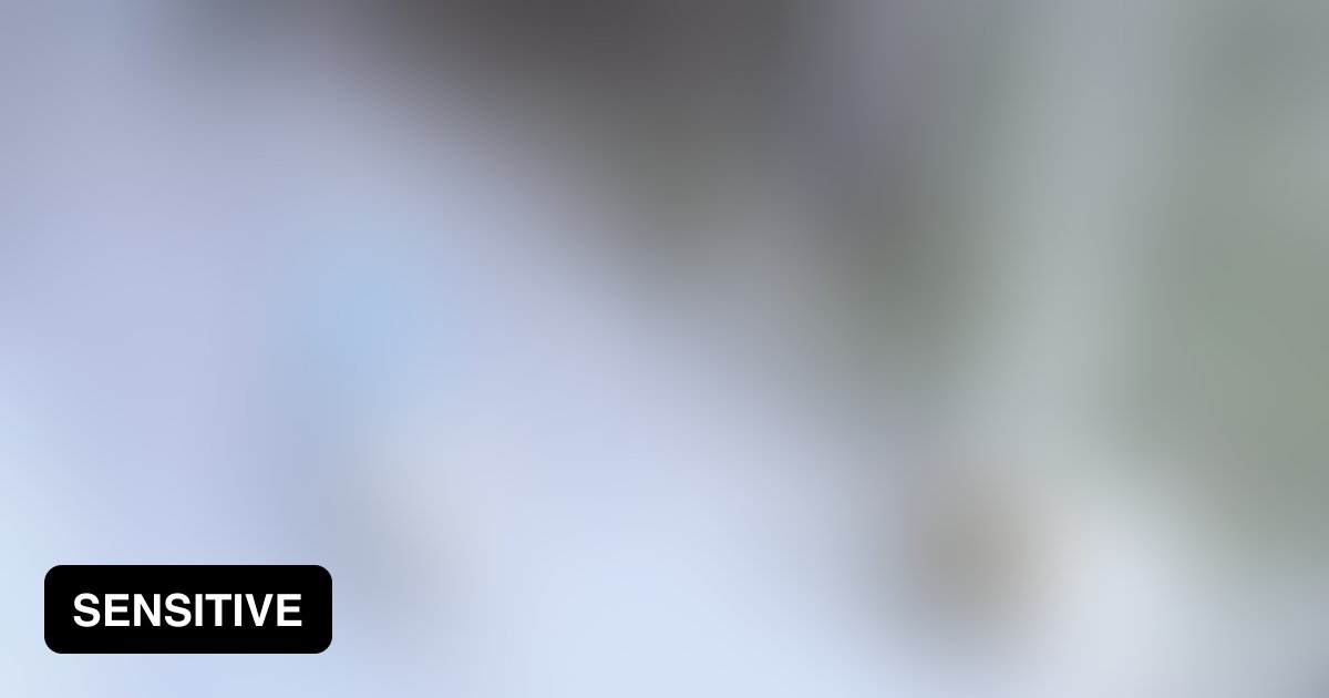 A cat falls from the sky, knocks out a man, then fights a dog with shoes 9GAG