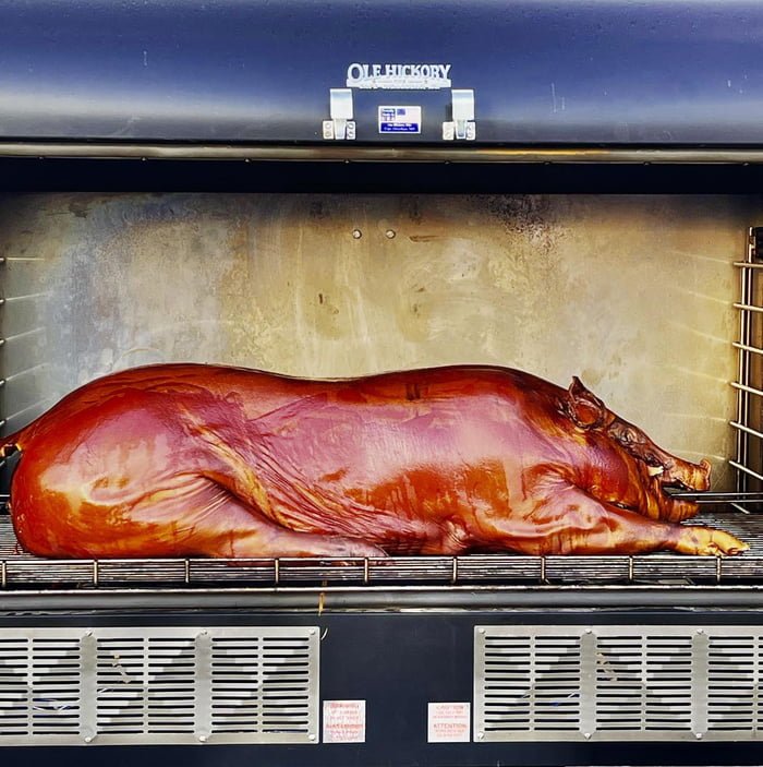 This beautiful whole hog smoking the Denver BBQ Festival 9GAG