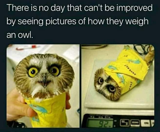 have-a-nice-day-fellas-9gag