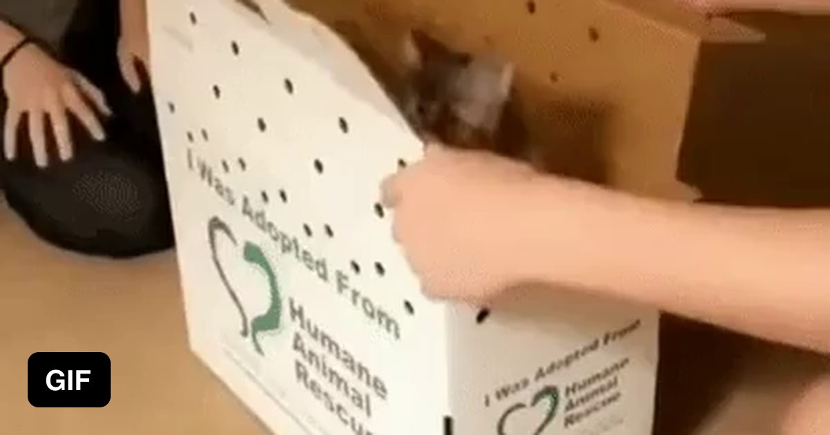 What the hell is that?!? - 9GAG