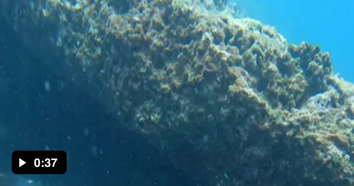 Underwater Air Pocket 9GAG