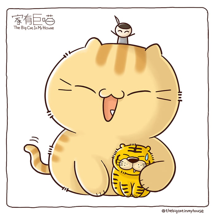 big-cat-family-9gag
