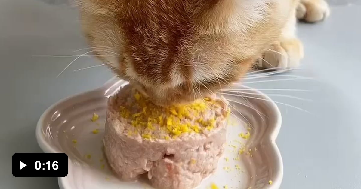 Calm the duck down 9GAG