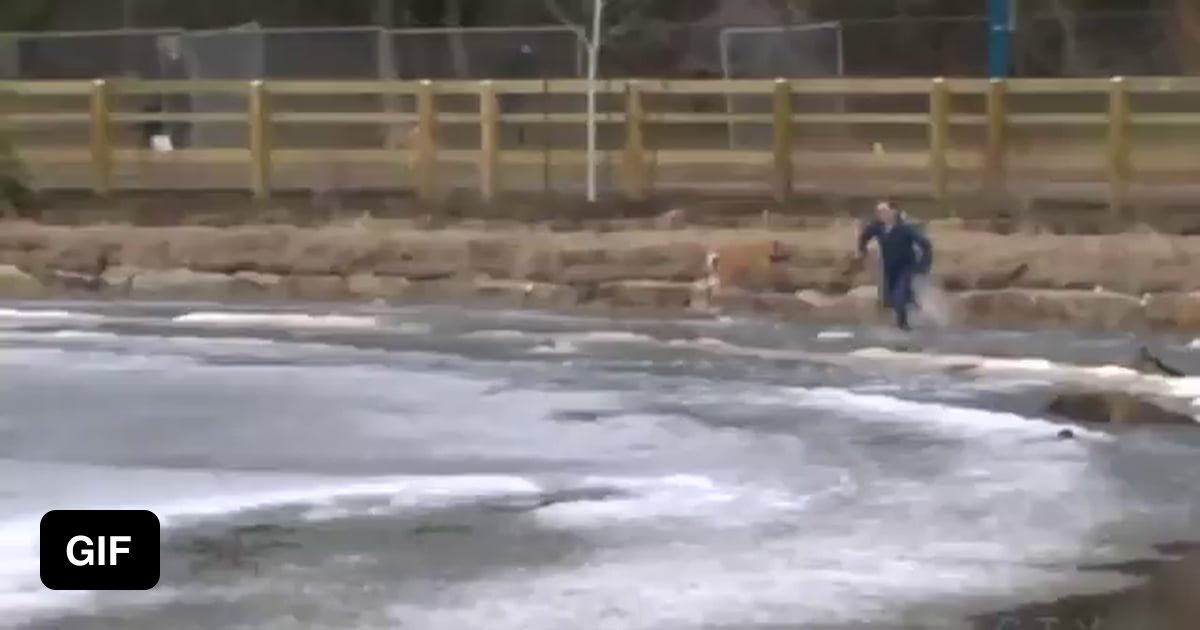 Man jumps into freezing pond with no hesitation to save his pup. - 9GAG