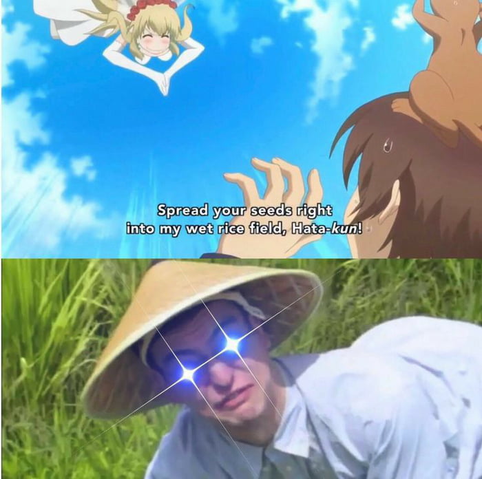 Welcome to the rice field mf - 9GAG