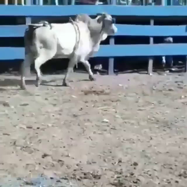 Brutal!!!