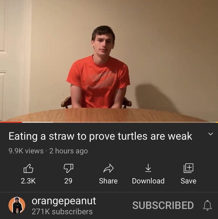 Madlad eats straw to prove turtles are weak 9GAG