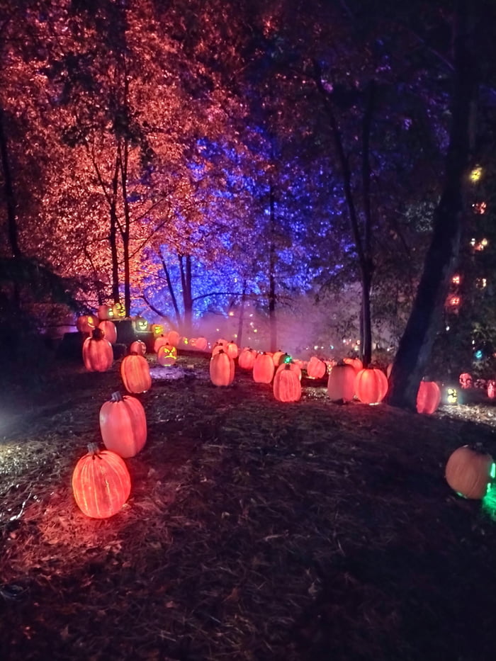 A beautiful Halloween event in Indianapolis! 9GAG