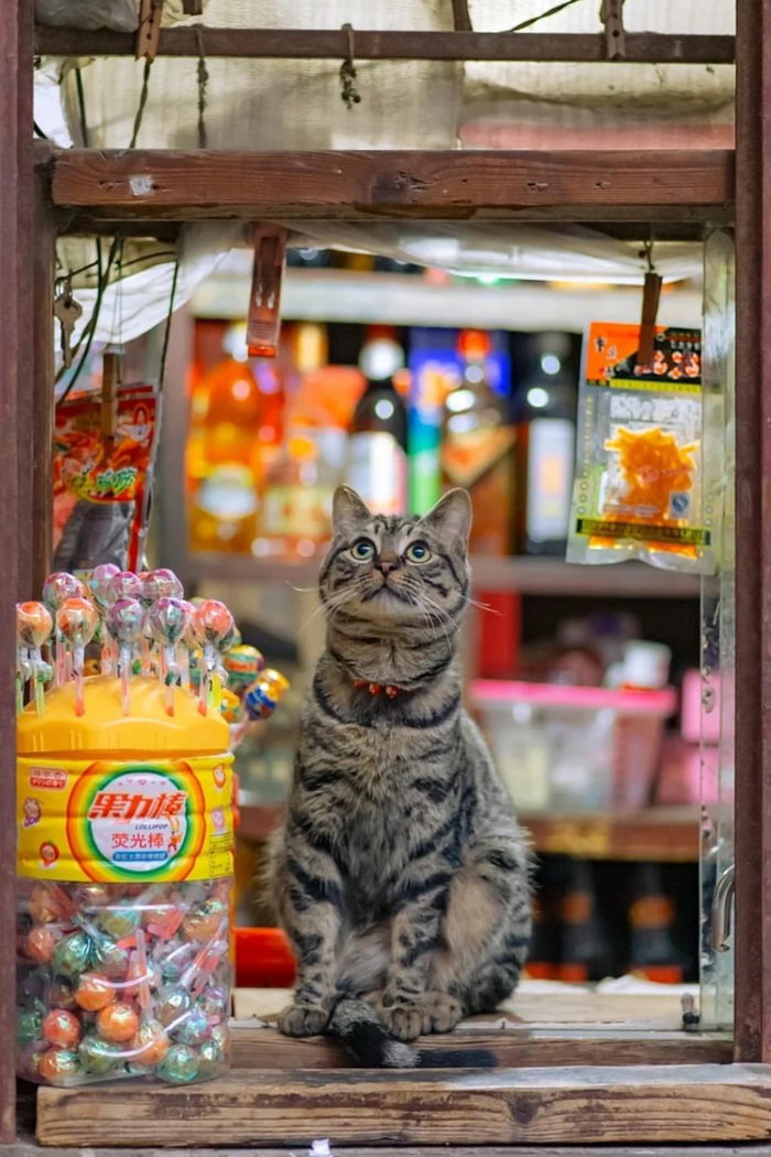 candy-shop-owner-9gag