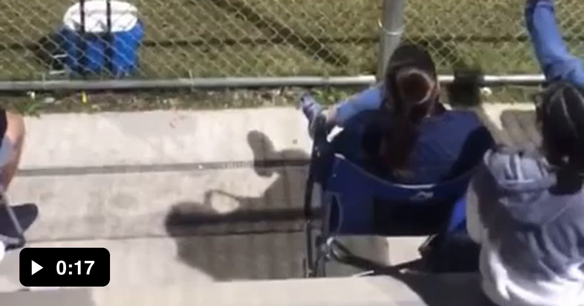 Kids baseball coach freaks out at umpires calls 9GAG