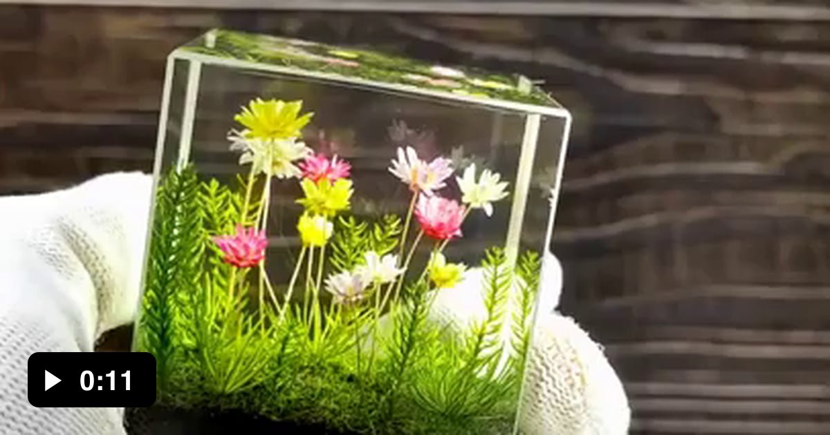 Freeze dried flowers in resin 9GAG