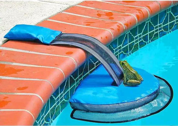 A mini ramp to help critters that fall into your pool - 9GAG