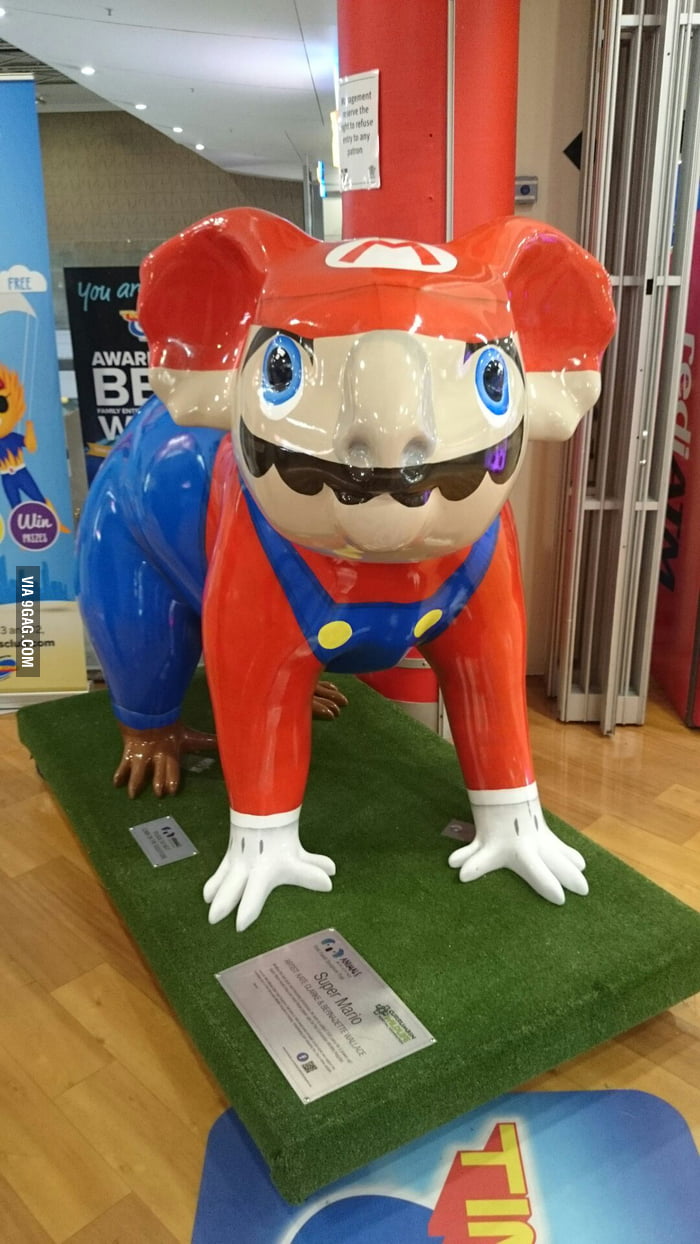 Koala Mario? WTF - 9GAG