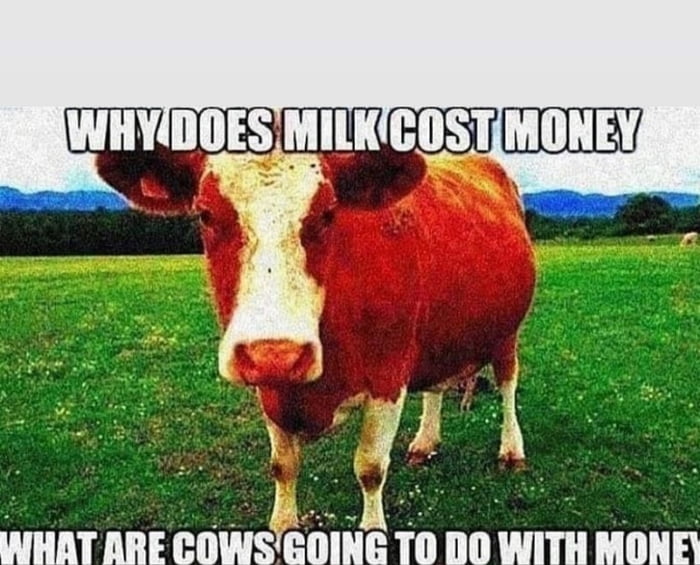 Why does milk cost money ? - 9GAG