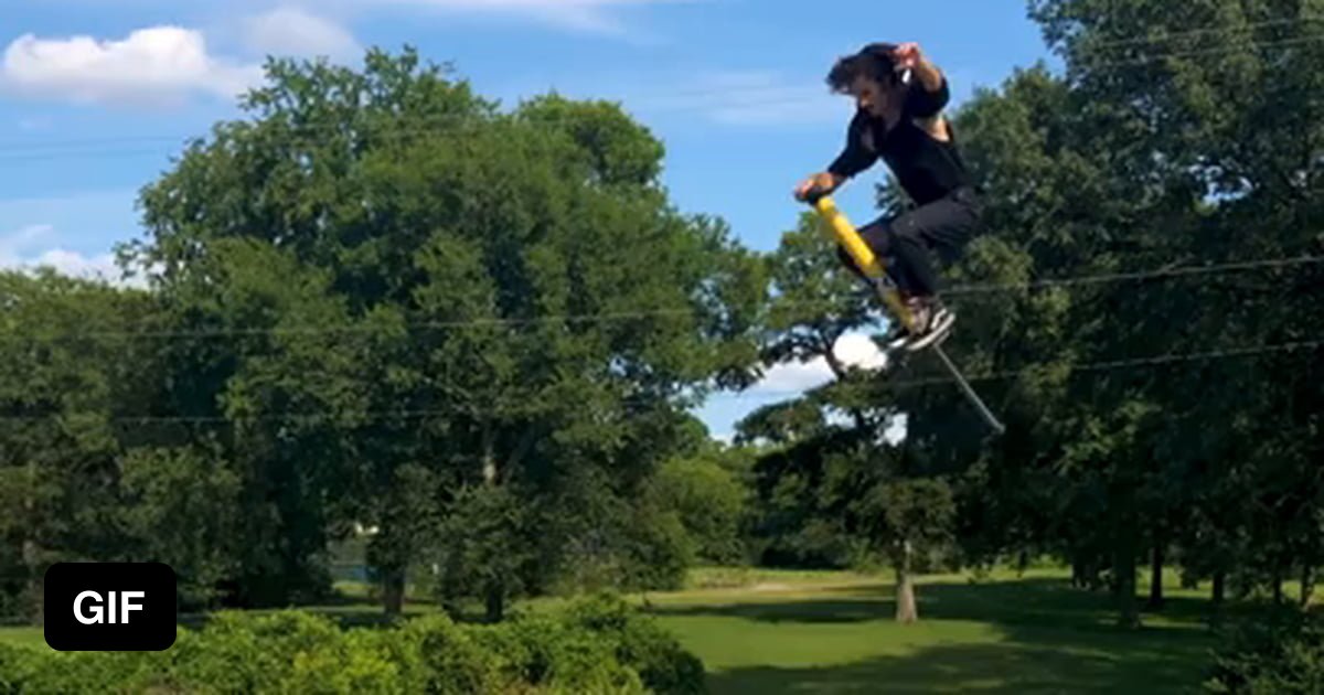 Pogo sticking over a car 9GAG