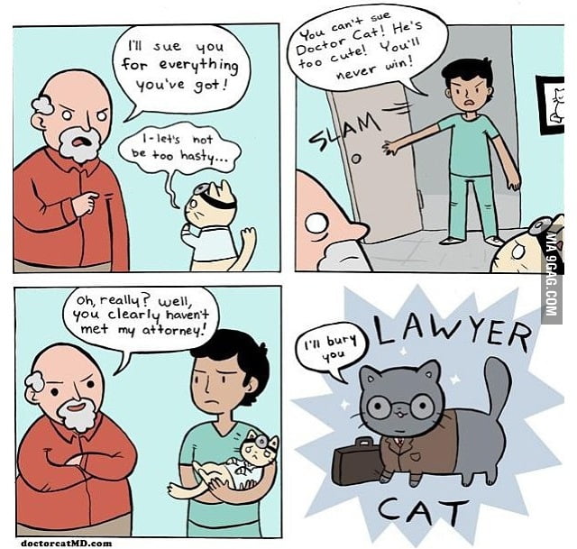 Doctor cat & Lawyer cat! 9GAG