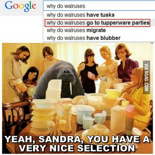 It's always baffled me. 9GAG