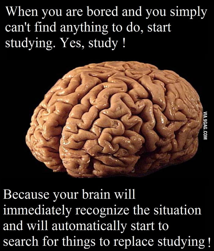 M brain. Мемы про мозг. Сладкий канал мозга. Кормить мозг знаниями. Bored Brain.