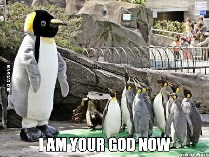 My first thought when I saw this picture - 9GAG