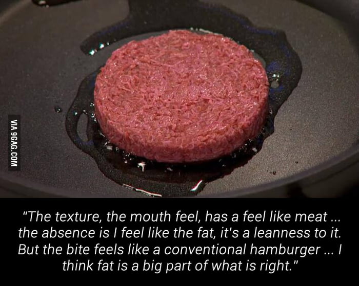 £220,000 labgrown burger is eaten for the first time 9GAG