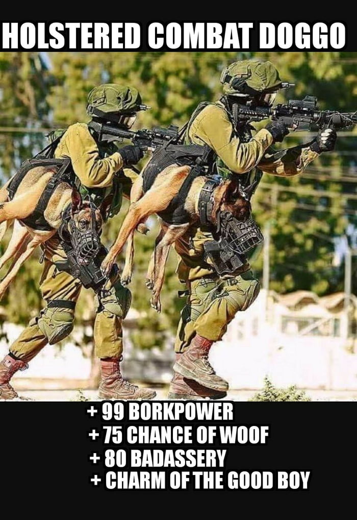 Those Are Pretty Good Stats 9GAG