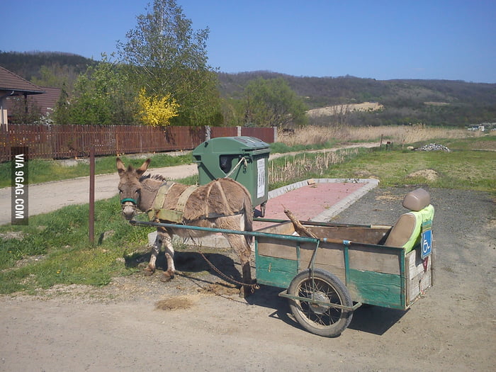 Meanwhile In Hungary Gag