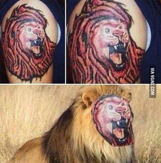 50 EyeCatching Lion Tattoos Thatll Make You Want To Get Inked  KickAss  Things