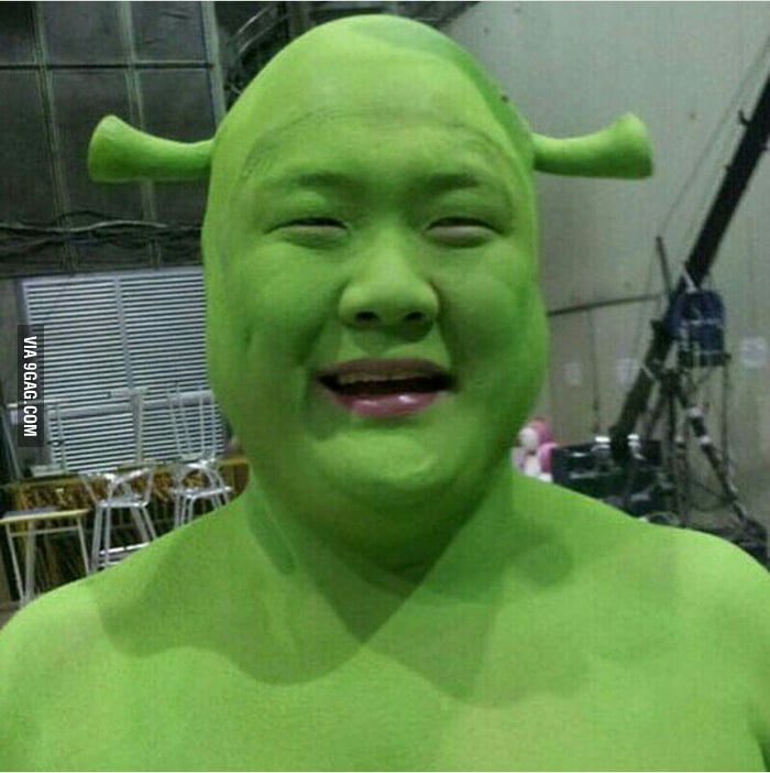 Nice Shrek meme - 9GAG