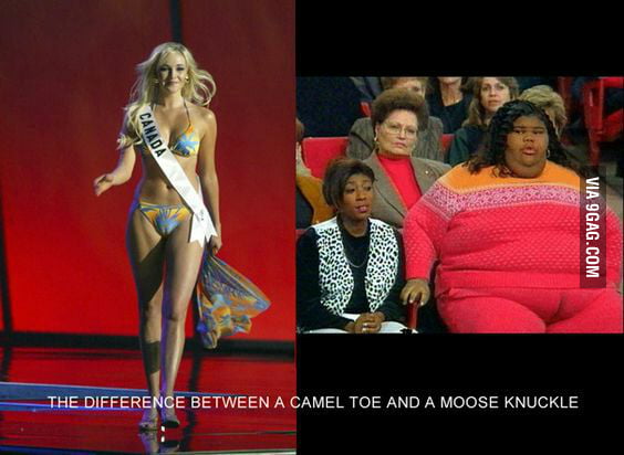 78 points * 4 comments - Camel toe/moose knuckle - 9GAG has the best funny ...