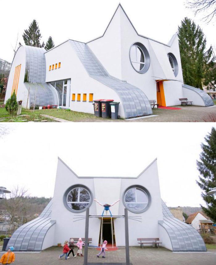 a-cat-kindergarten-school-in-germany-9gag