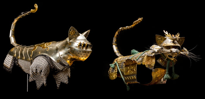 These armor specifically designed for cats - 9GAG