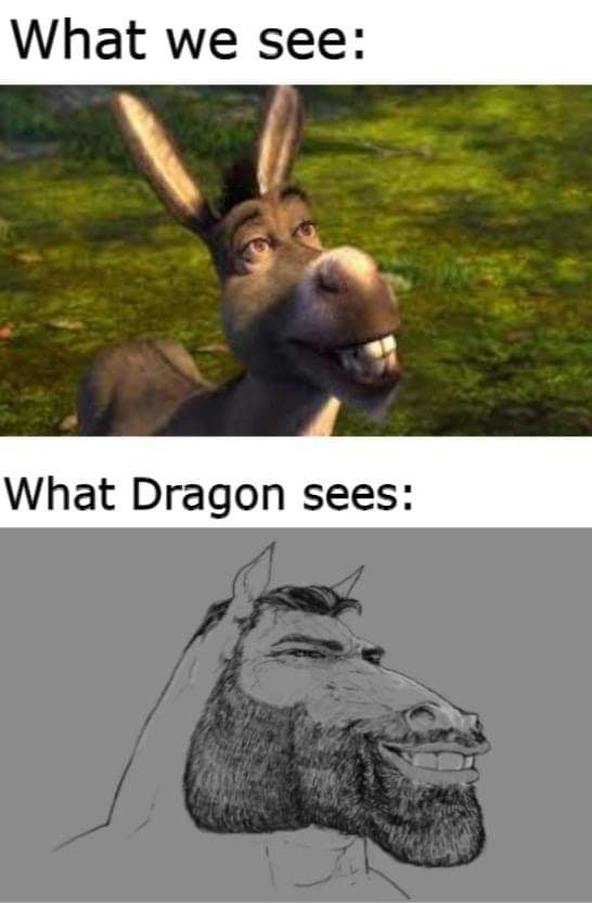 The alpha donkey - 9GAG