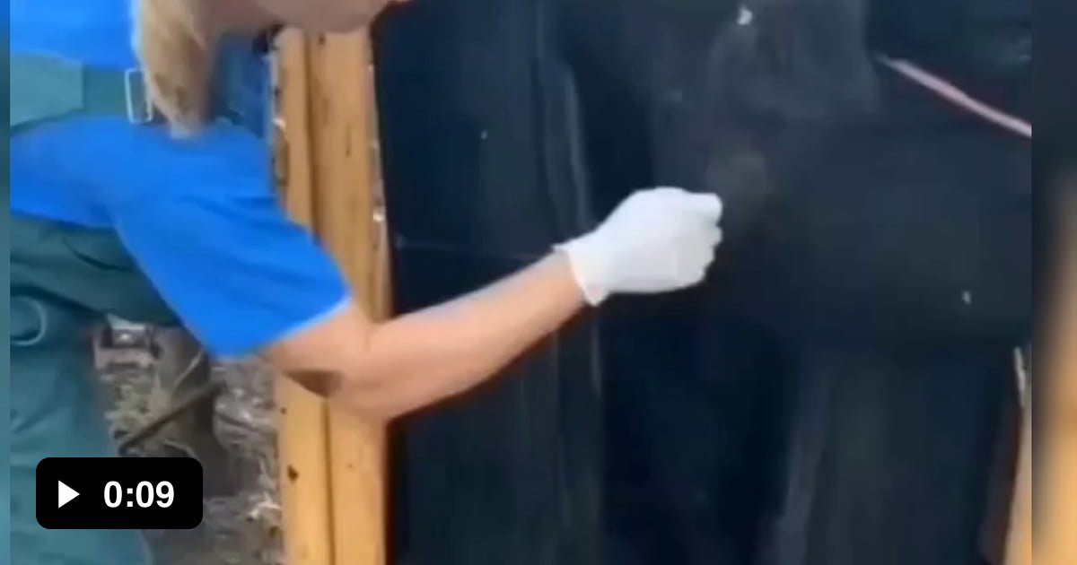 The mayonnaise secret ingredient 9GAG