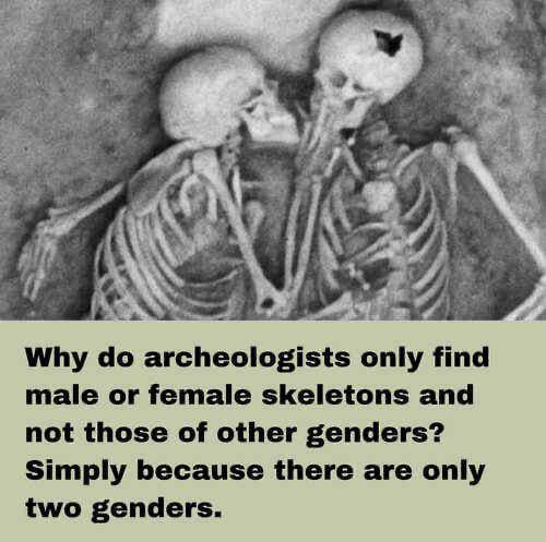 Archeology is apparently the key to gender theory. - 9GAG