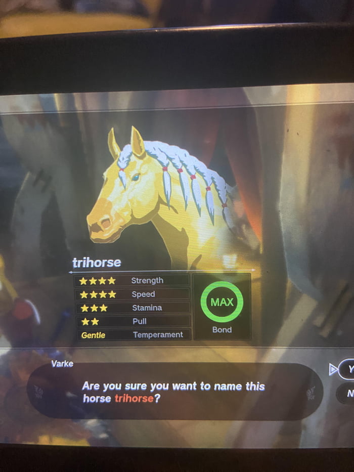 The best name for princess Zelda’s horse.. 9GAG